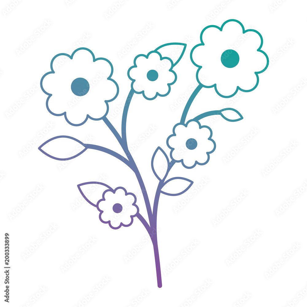 beautiful flowers with leafs decorative vector illustration design beautiful flowers with leafs decorative vector illustration design