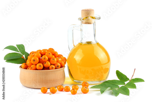 Rowan with green leaf and rowan oil in glass jug isolated on white background