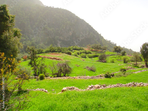 Nature beautiful mountain landscape. Mountains in the fog, green trees, summer grass among the stones. Traveling in the mountains of Turkey. Lycian trail. photo