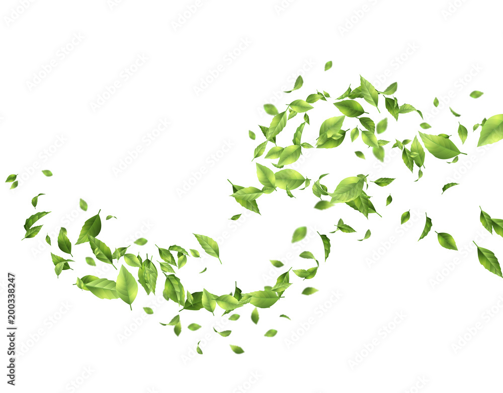 Green Flying Leaves Stock Illustration Adobe Stock