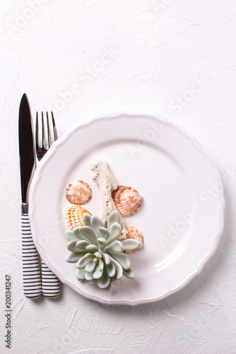 White plate, shells, cutlery, coral, succulent echeveria on white textured background.