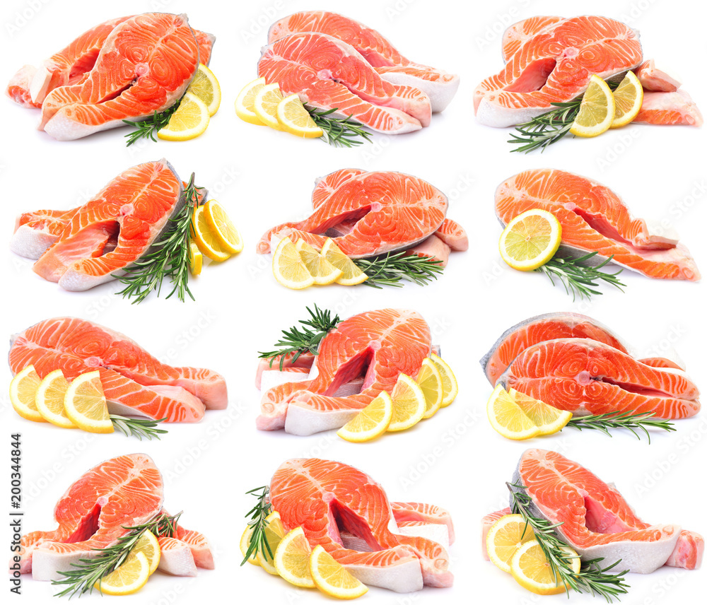 Fish salmon collection Fish salmon collection