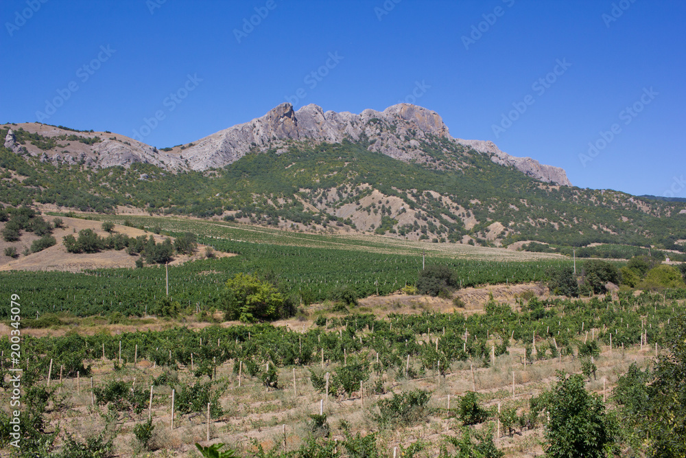 Mountain landscape in a cloudless summer day.