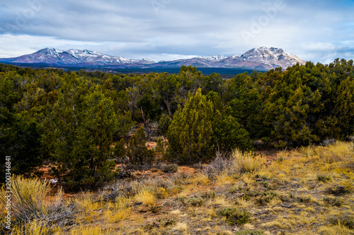The snow capped Manti la Sal Mountains near Blanding, Utah,  rise high above the desert below.