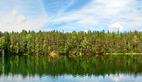 Silent lake near green forest.
