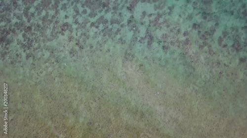 Wallpaper Mural Beautiful aerial bird's eye view over the clear waters of the Tanon Strait in the Philippines Torontodigital.ca