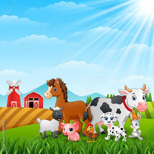 Cute animals in the farm