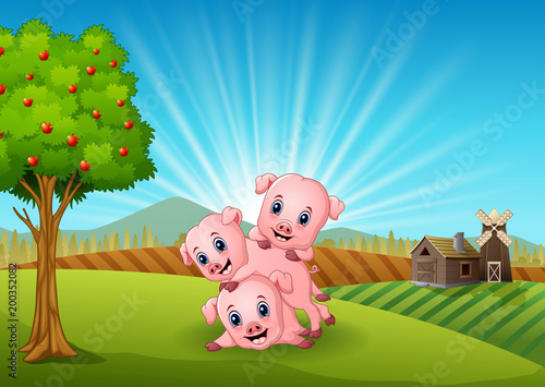 Three little pig playing in the farm