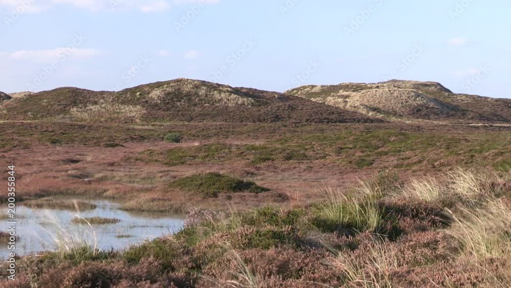 Protected landscape on Sylt, Germany. Naturschutzgebiet auf Sylt, Deutschland. Protected landscape on Sylt, Germany. Naturschutzgebiet auf Sylt, Deutschland.