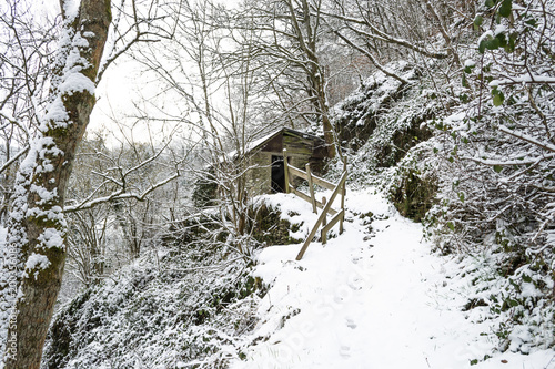 Abandoned house covered in snow