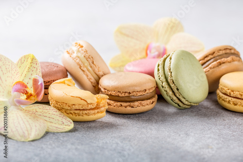 French assorted macarons with orchid flowers on light gray concrete background. Holidays food concept with copy space.