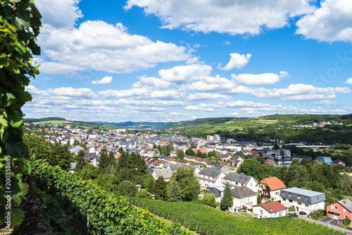 Foto Vineyards along the moselle river