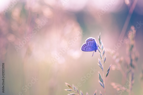 Photography Nature background concept