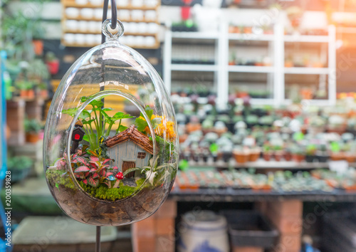 Mini garden in glass plant terrarium with rose flowers made of fabric. Colorful of decoration artificial flower