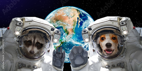 Portrait of a raccoon and dog astronauts. Elements of this image furnished by NASA.