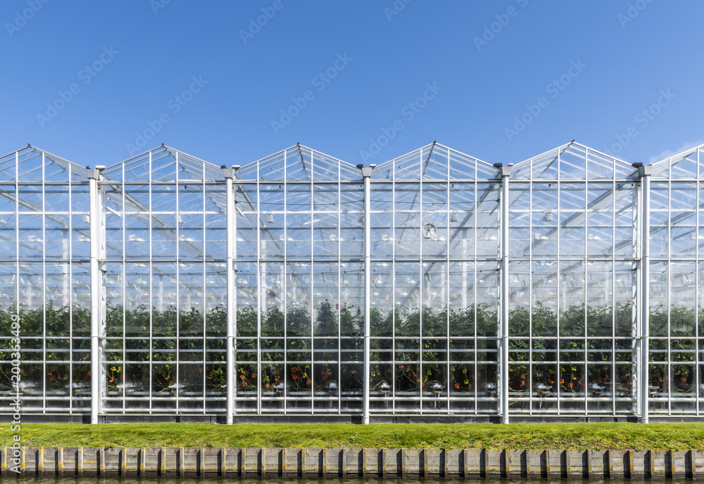 Glass Houses in Holland