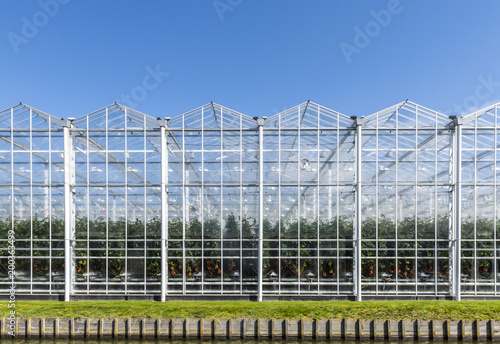 Glass Houses in Holland