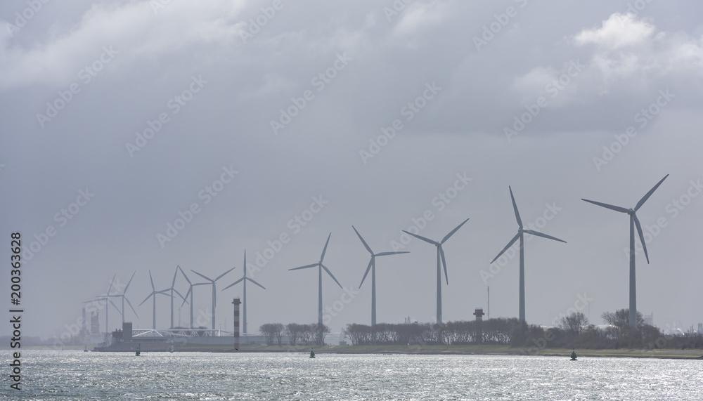 Fototapeta premium Wind Mills Hoek van Holland
