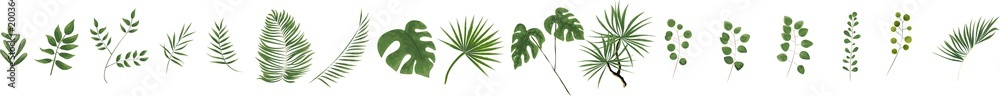 Fototapeta zielone liście w stylu akwareli
