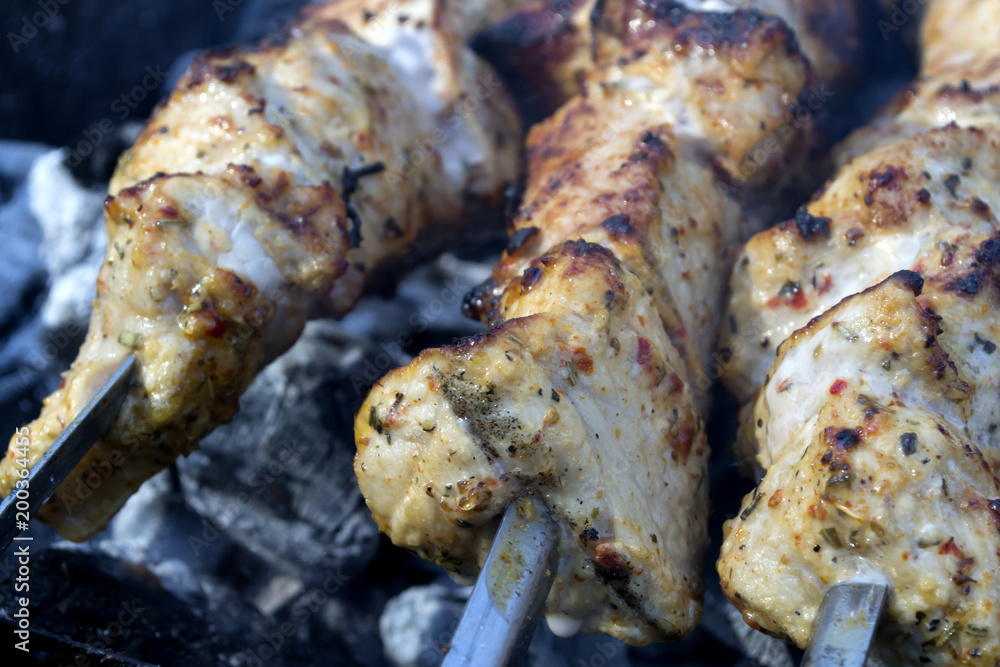 Meat in spices cooking on a fire outdoor. Barbecue background. Meat in spices cooking on a fire outdoor. Barbecue background.
