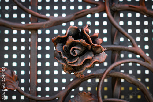 Details, structure and ornaments of forged iron gate. Floral decorative ornament, made from metal. Vintage metallic pattern. Decorative elements as a background photo