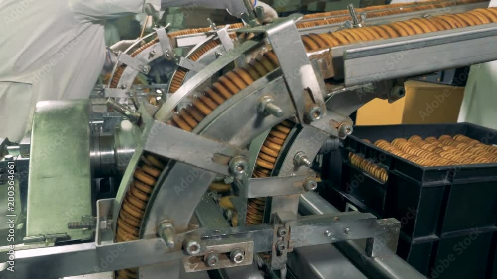 Process of production double cookies at factory. Process of production double cookies at factory.