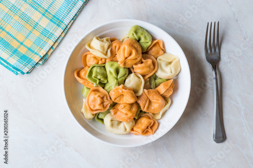 Tri Colored Tortellini Pasta / Multicolor or Colorful