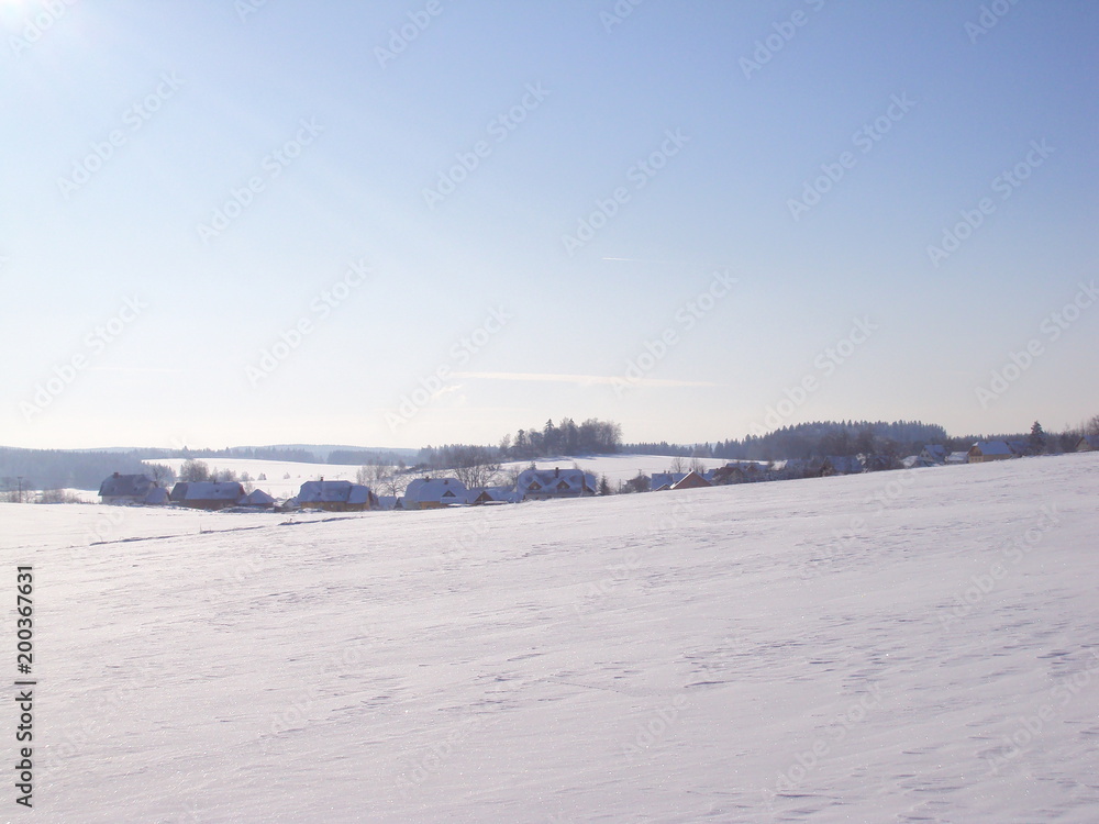 winter landscape