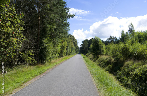 Laesoe / Denmark: Cyclist-friendly small asphalted road through Klitplantage nature reserve