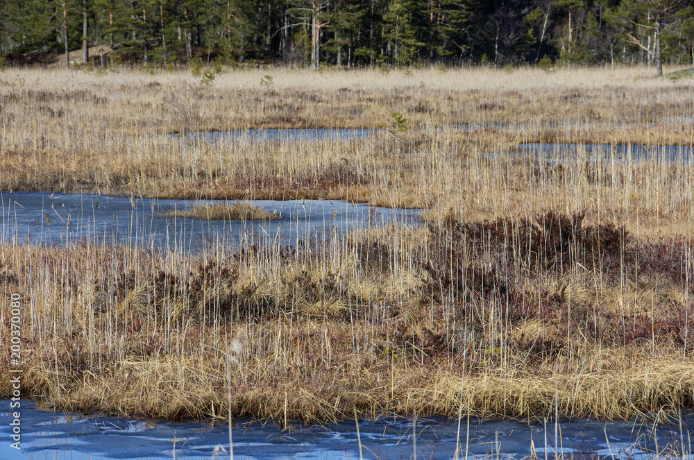 Spring lake Spring lake