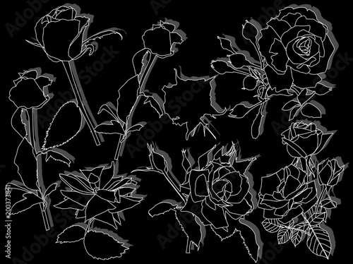 eight whiyr outlines isolated roses