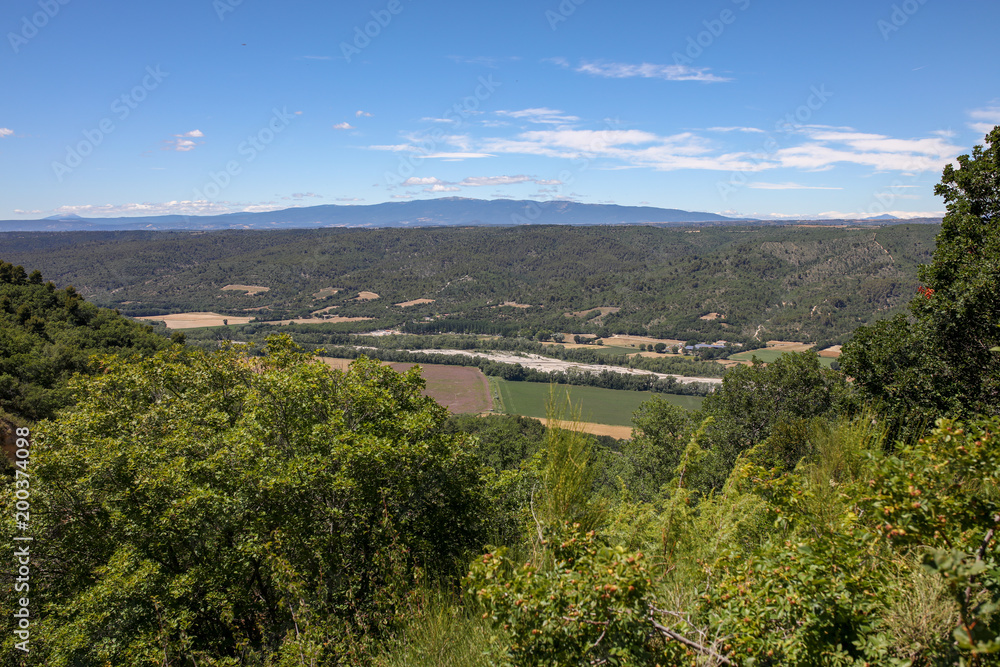 Fototapeta premium lavandes en Provence