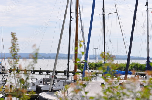 Wallpaper Mural Ein Segelbootshafen mit Seegelschiffen die dümpeln im Mai  Torontodigital.ca