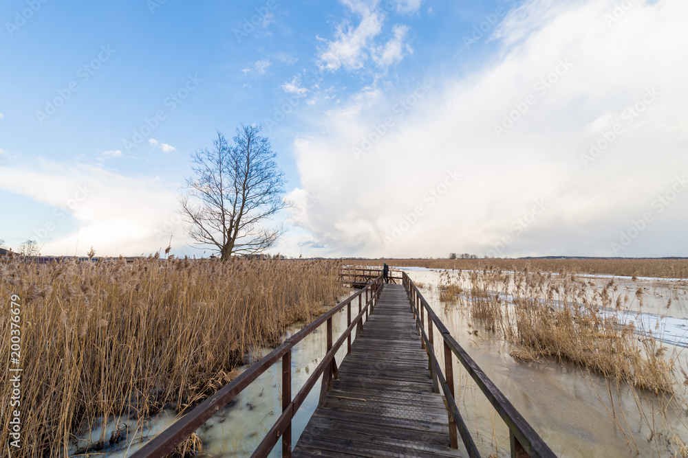 Naklejka premium Winter landscape over the river with a blue sky