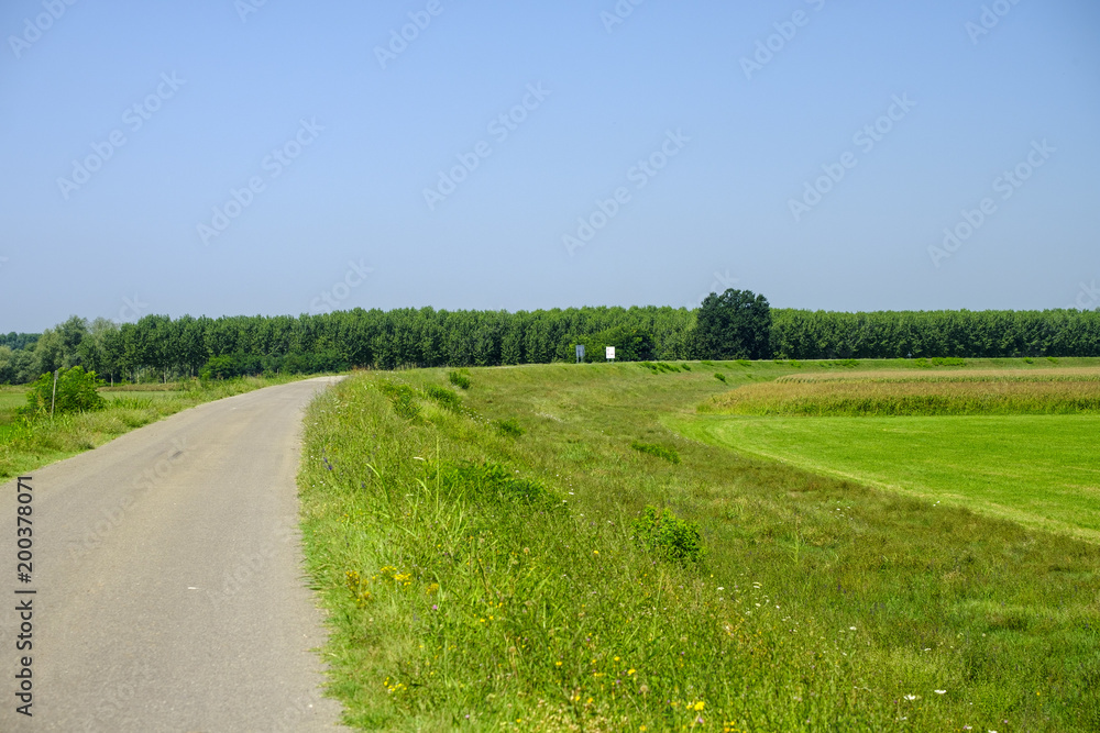 Rural landscape along the Po cycle path