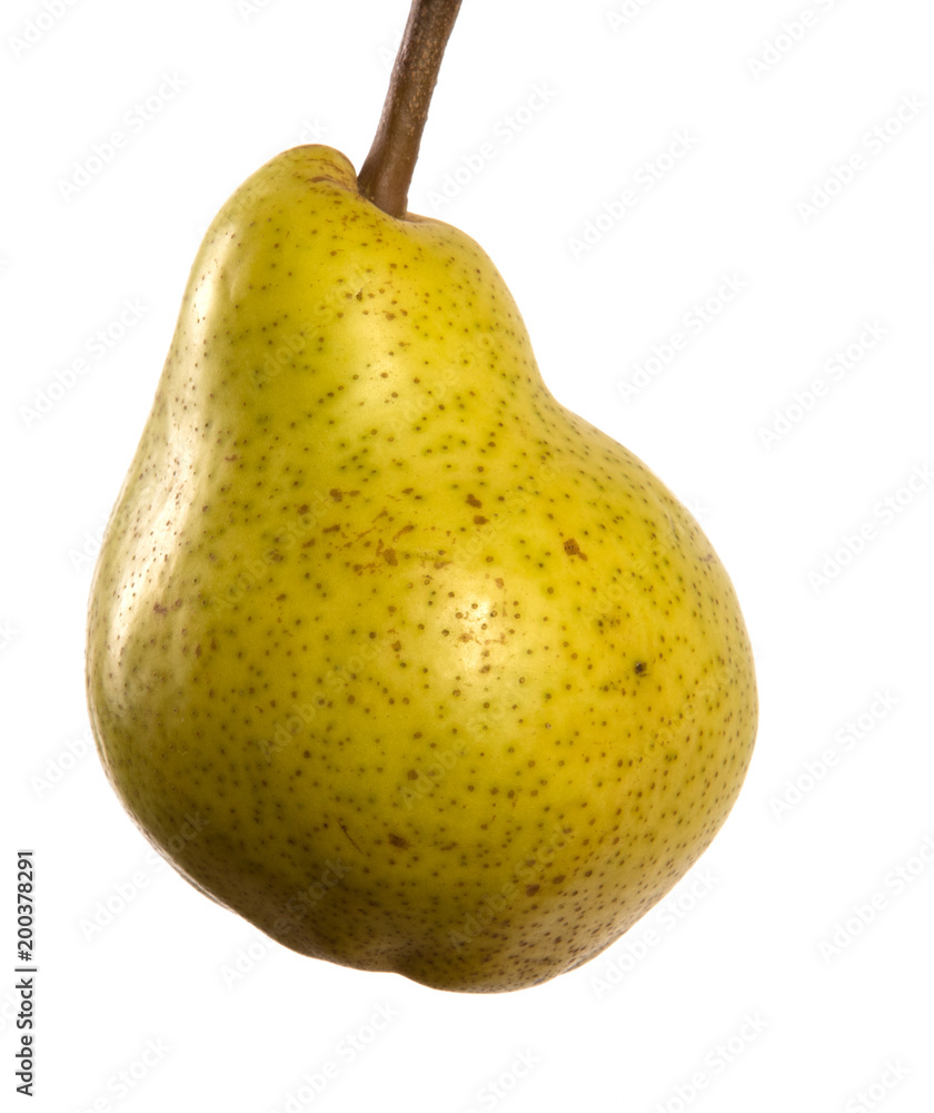 green ripe pear isolated on a white background green ripe pear isolated on a white background