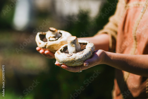 the girl is holding fresh juicy big white mushrooms