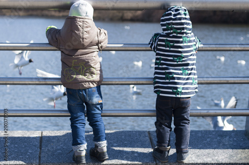 Back view of two toddlers feeding wild birds © Olga