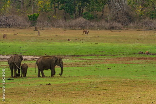 Photography Kabini Backwaters