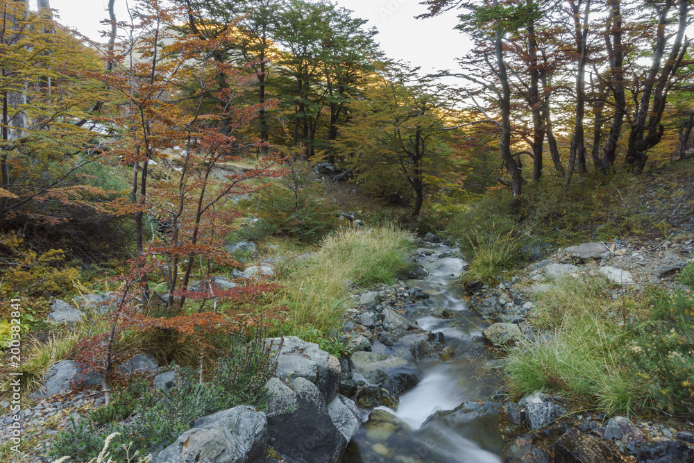 Pure water from the Andes mountains Pure water from the Andes mountains