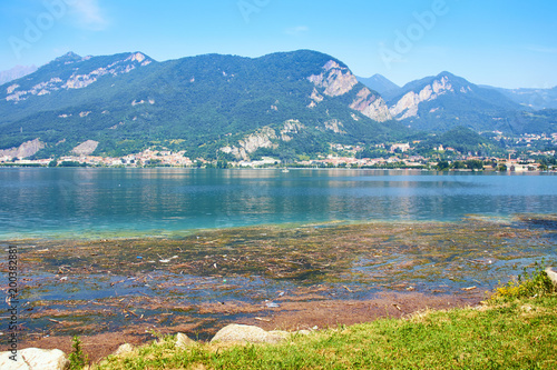 Dirty water with algae on alpine lake Como in Italy photo