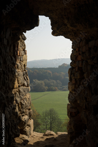 Ruins of Zviretice Castle, Central Bohemian Region, Czech Republic.