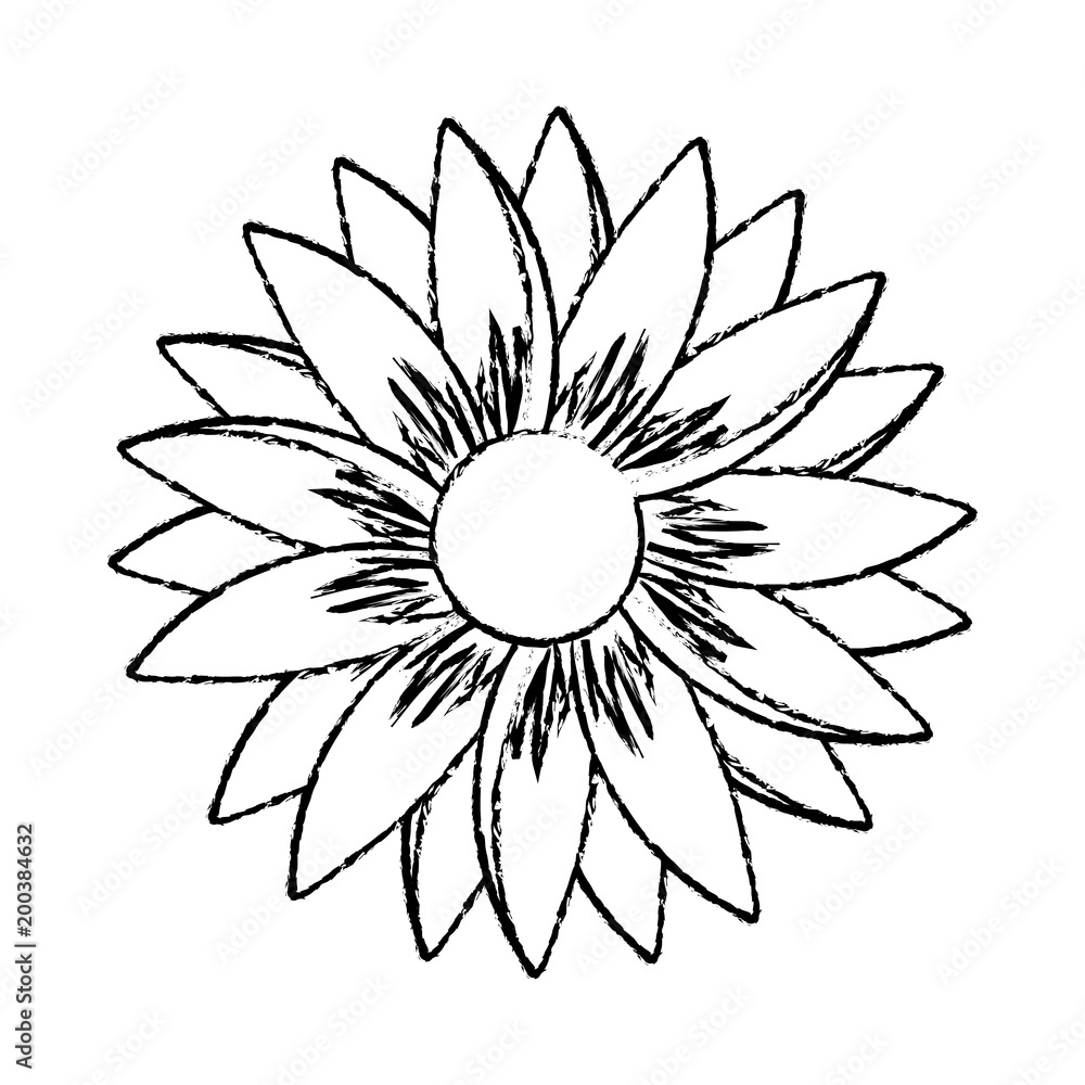 Fototapeta premium cute sunflower flower decorative icon