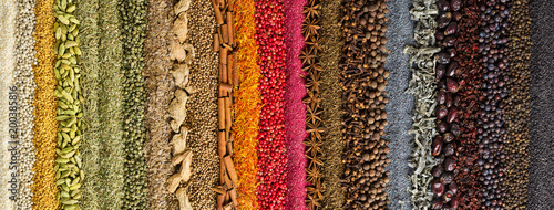 Indian spices and herbs background. colorful seasoning, top view. © dmitr1ch