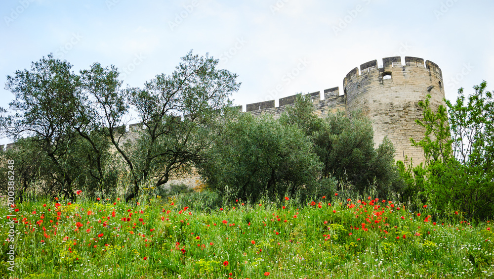 Medieval castle walls and red poppy field. Fort Saint-Andre in town of Villeneuve les Avignon (Languedoc-Roussillon, France). Nature and architecture background.