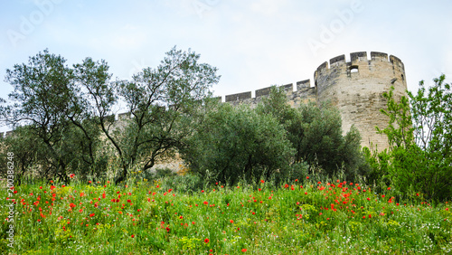 Medieval castle walls and red poppy field. Fort Saint-Andre in town of Villeneuve les Avignon (Languedoc-Roussillon, France). Nature and architecture background.