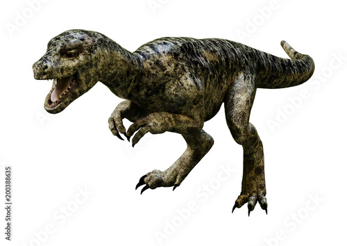 3D Rendering Dinosaur Tyrannosaurus Hatchling on White