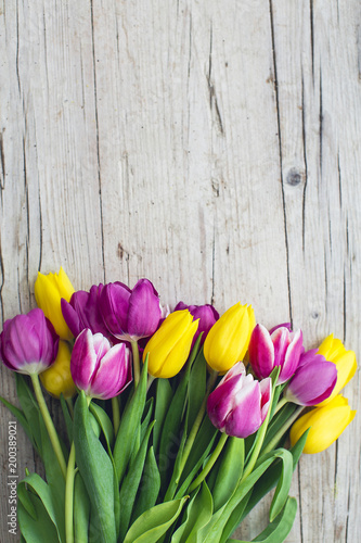 Pink and yellow tulips on a wooden background