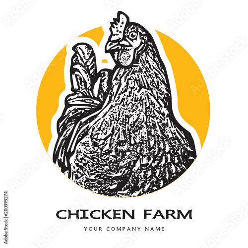 Portrait of a hen head. 
Black and white illustration. Realistic vector image of poultry chicken as a design element for logo, icon, template, label.