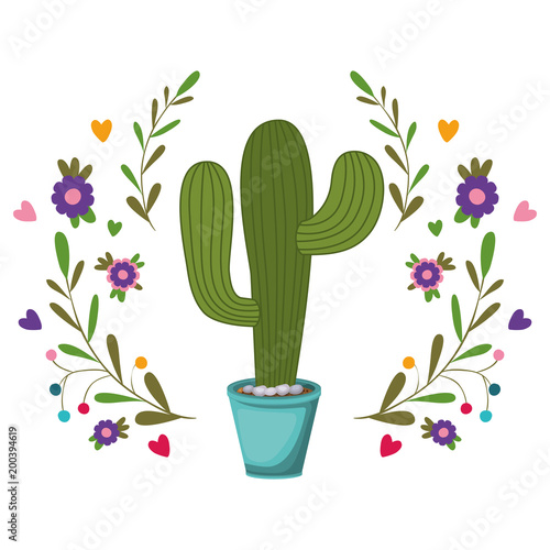 nopal cactus in pot